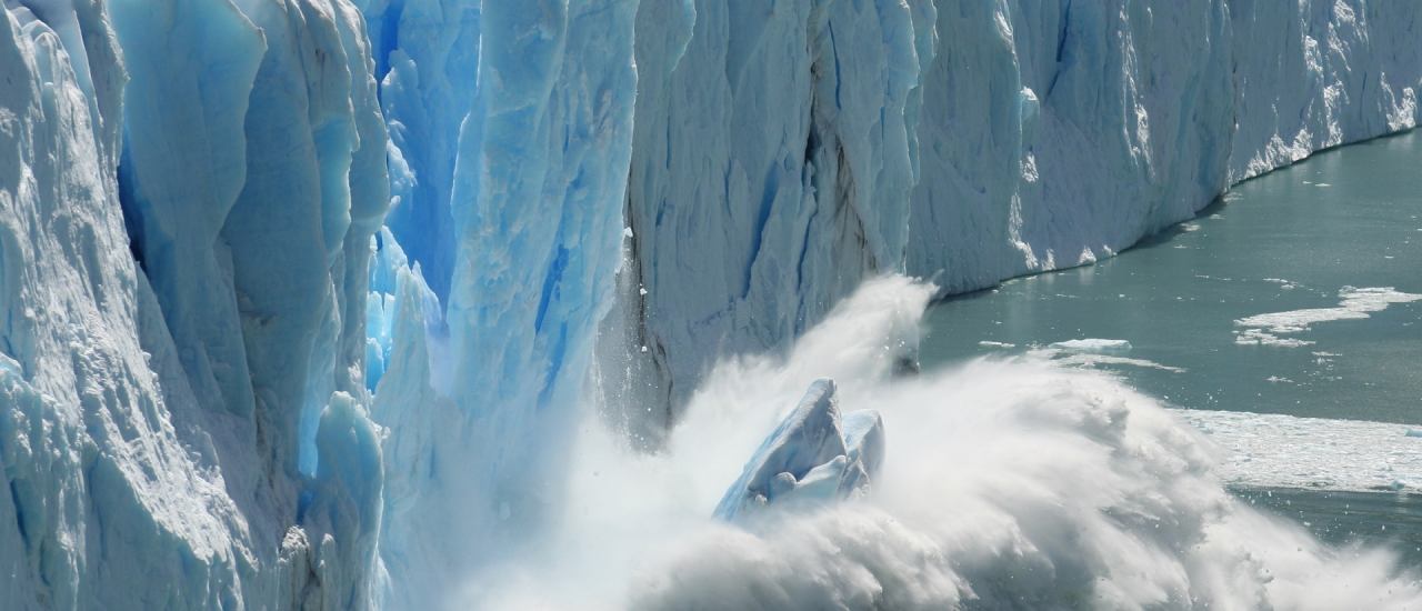 Foto: Bernhard Staehli/shutterstock